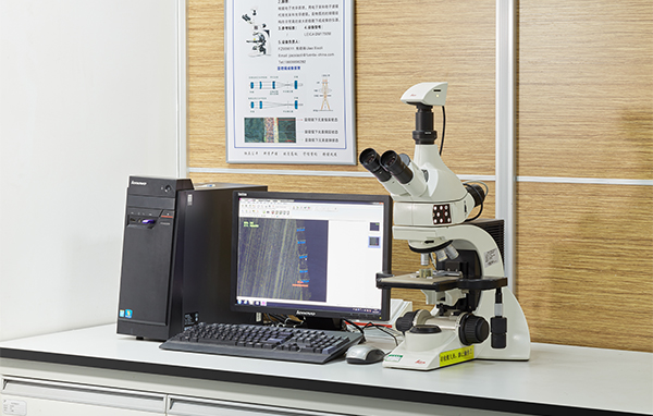 金相显微镜
